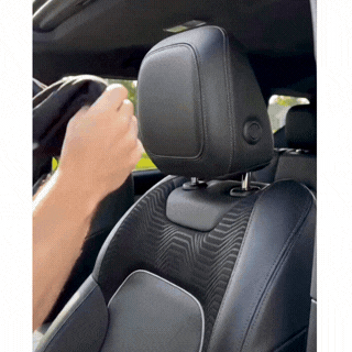 Terror™ Headrests