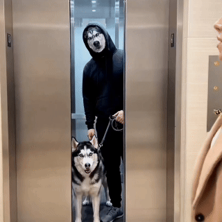 PawMask™